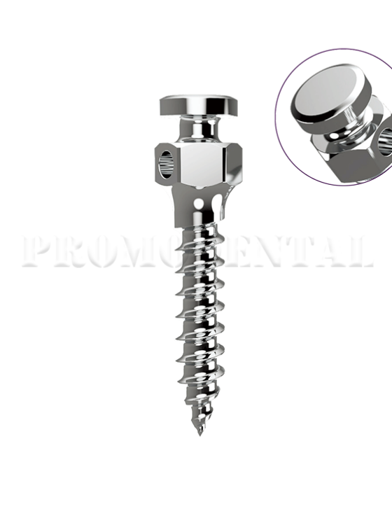 507-SA-507-MINI-SCREW Round Head Type.png